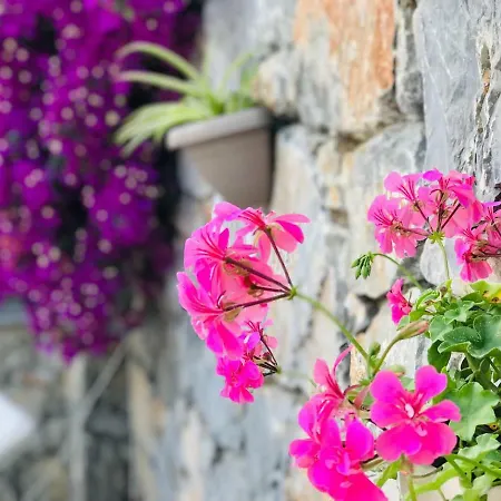 Bed and Breakfast Nehir Dalyan Boutique *